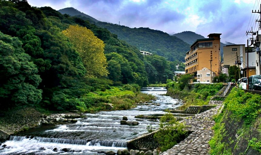 箱根 紫陽花 穴場|知る人ぞ知る阿弥陀寺で、静けさに還る初夏の一日