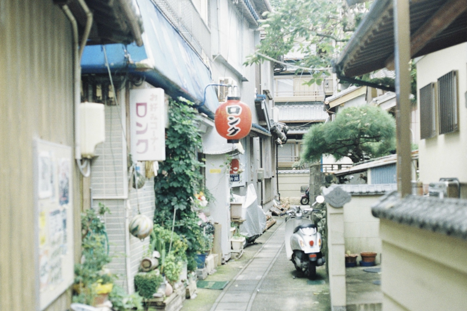 三重・答志島の漁村。細い路地に家々が寄り添う漁師町の日常