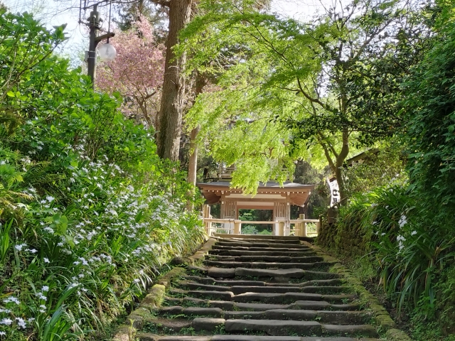浄智寺 鐘楼門への石段
