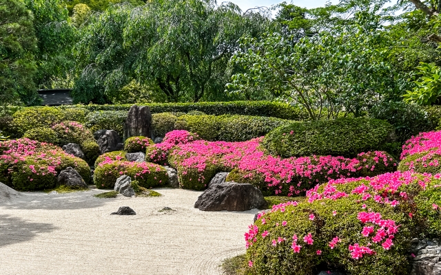 明月院 枯山水庭園