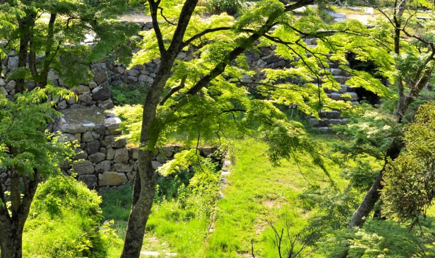 奈良の「高取」で、ひとり城跡を歩く――観光地じゃない山城と、薬の町