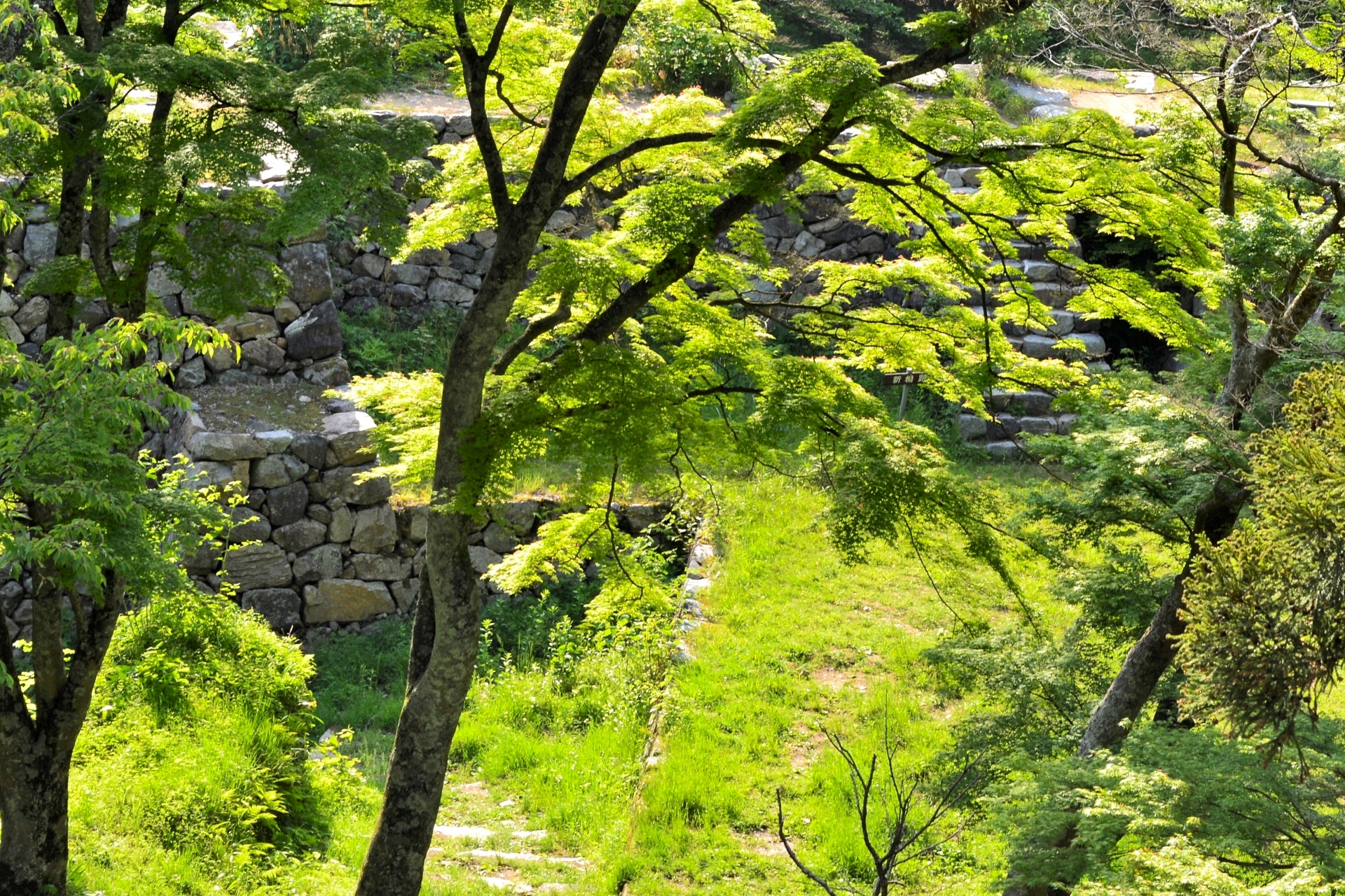 高取城跡の苔むした石垣と新緑。日本三大山城の一つ、奈良・高取