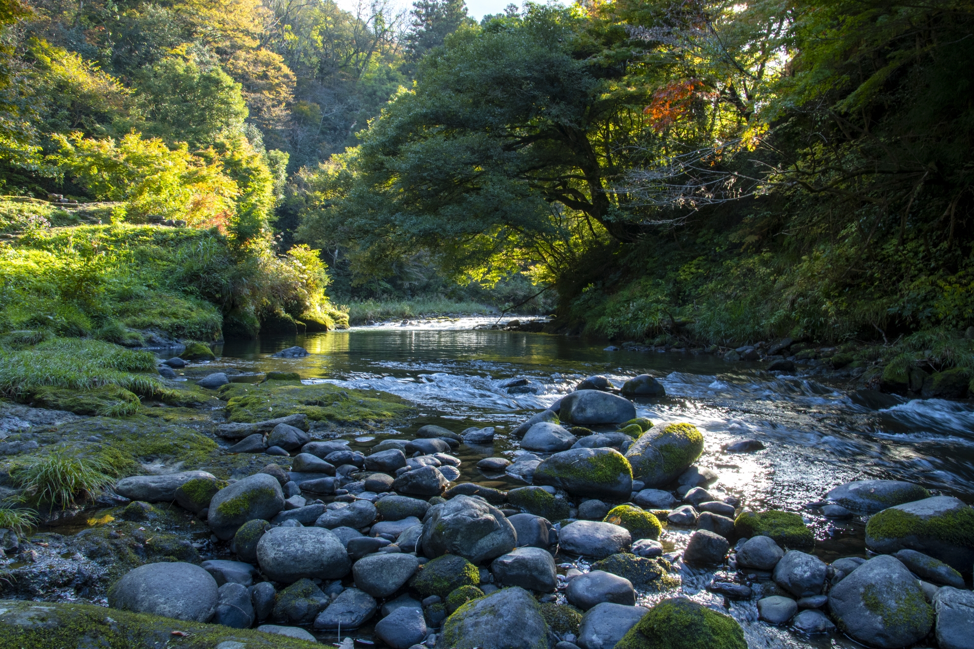 山中温泉・鶴仙渓の清流と新緑