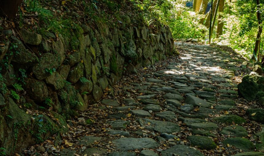 戸隠神社奥社の杉並木──春のはじまり、ひとりで歩いた参道の静けさ