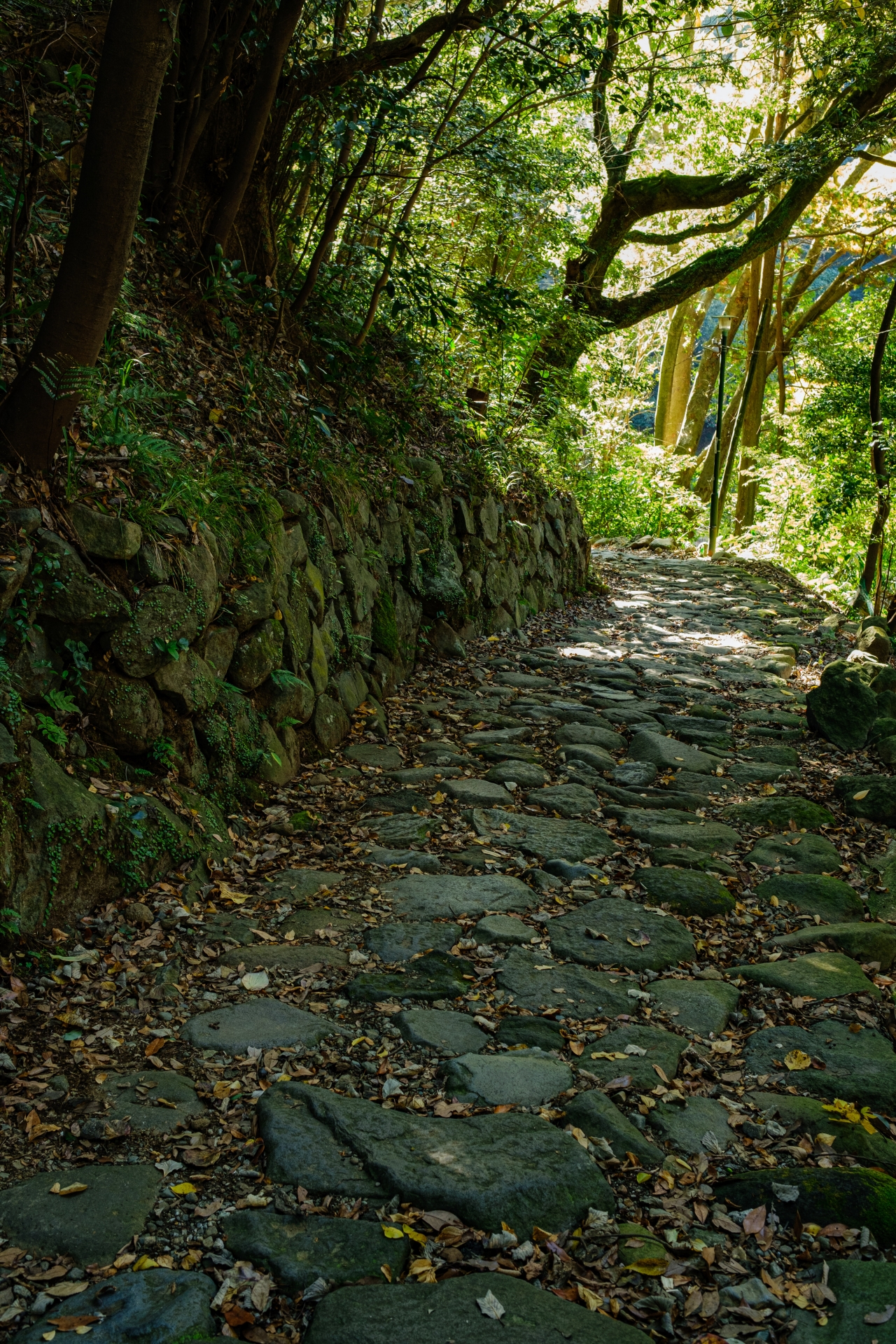 石畳・参道・戸隠神社