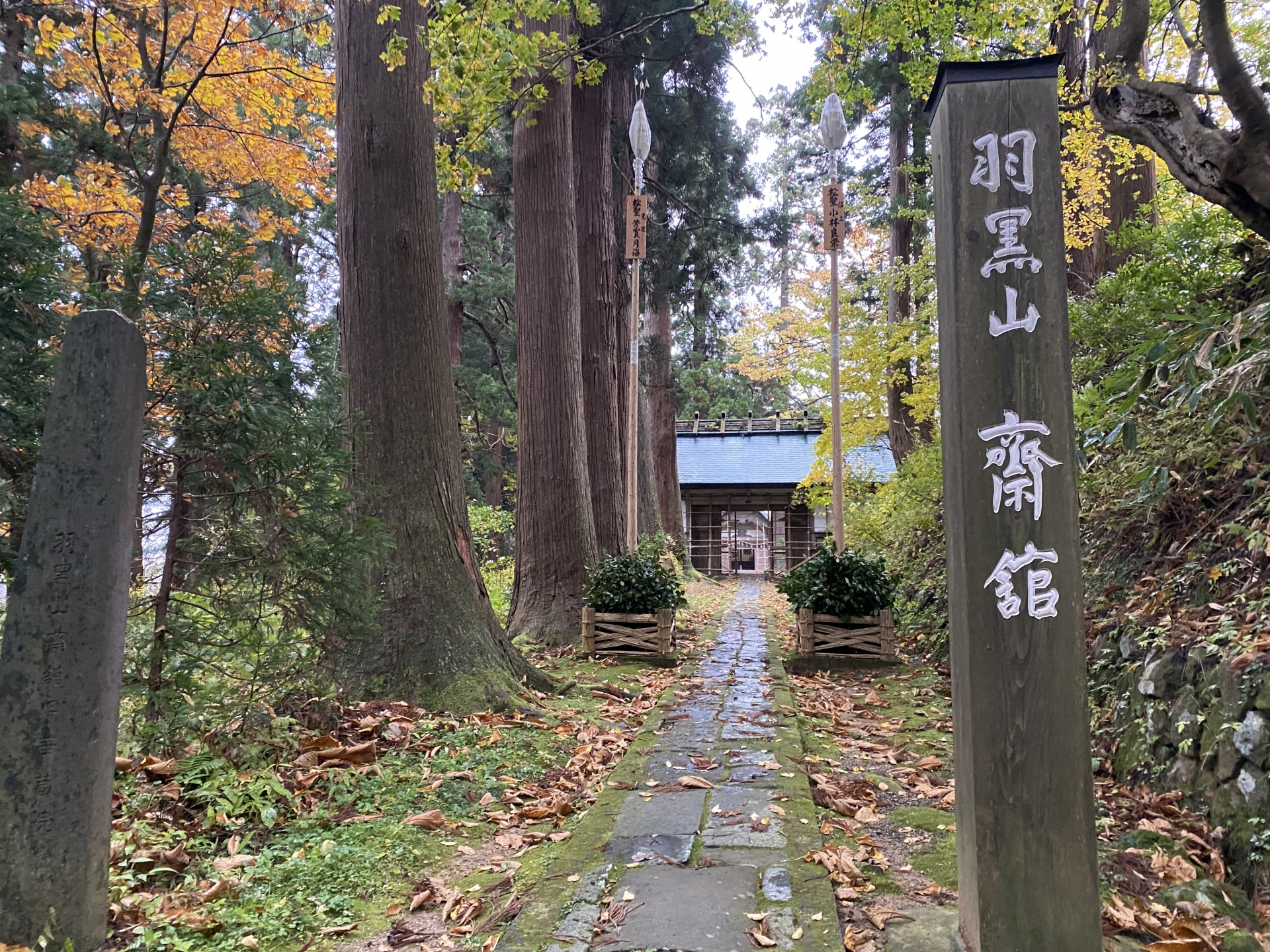 杉並木・木柱・羽黒山齋館