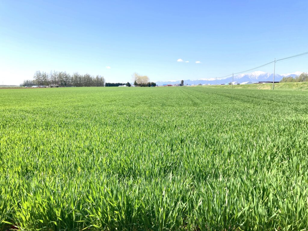 札幌のじゃない方──帯広・十勝、何もない広大な大地で「ある」ことを学ぶ