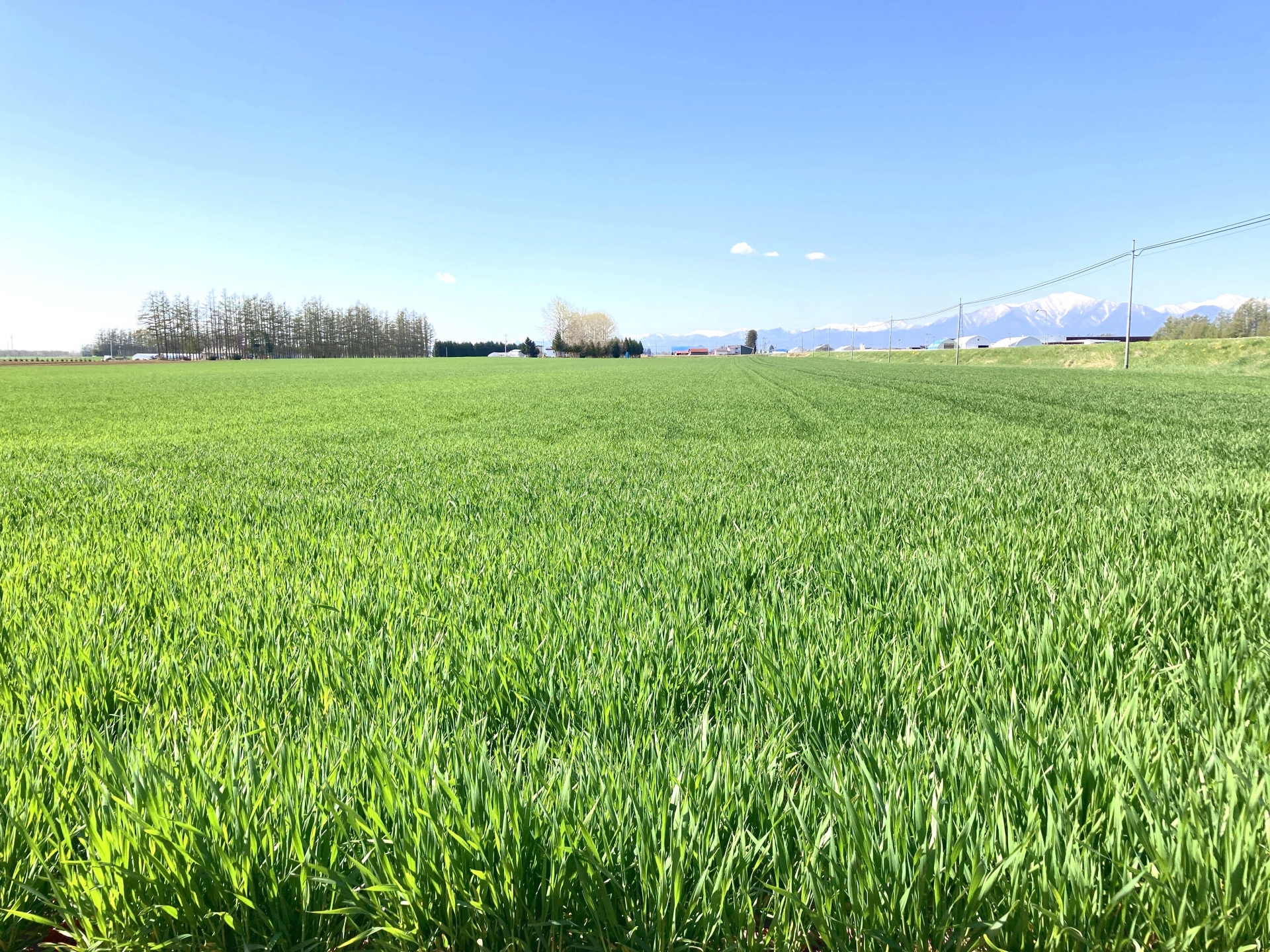 帯広 十勝平野の広大な農場 ── 地平線が見える北海道の大地