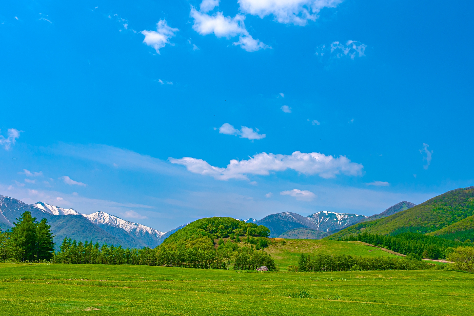十勝千年の森 アース・ガーデンの芝生の丘 ── 地平線を望むランドスケープ