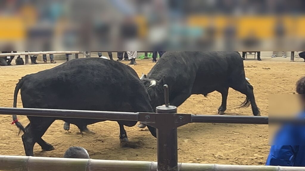 「じゃない方」で見つける、もうひとつの日本 6 選