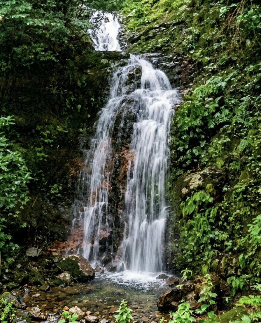 苔と岩肌のオレンジが滲む、隠岐の小さな滝