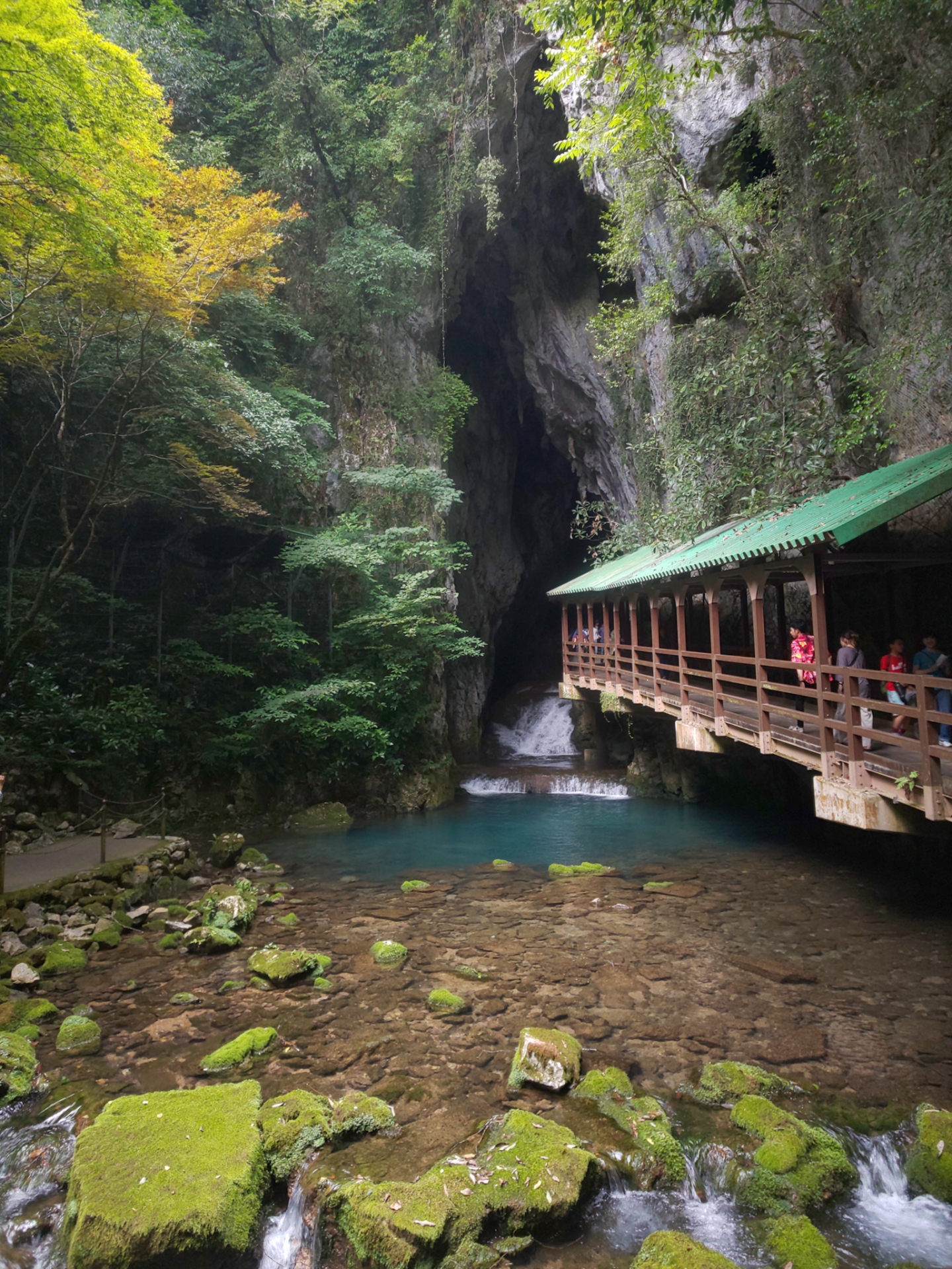 秋芳洞の入口。外の光と冷たい空気が交わる場所