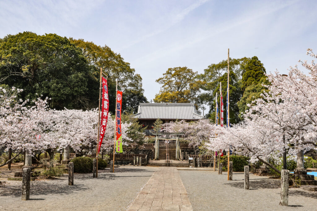 春の参道を一人で歩く、神社仏閣5選——祈りの気配が残る場所へ