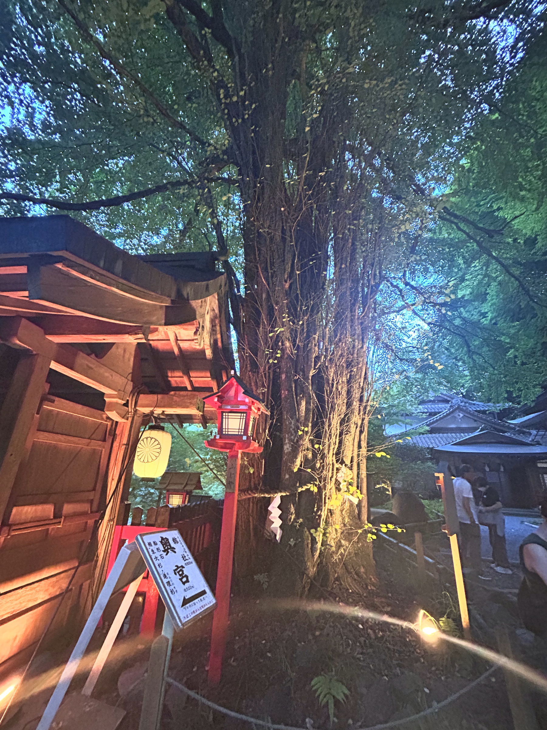 奥宮への参道・夜の燈籠