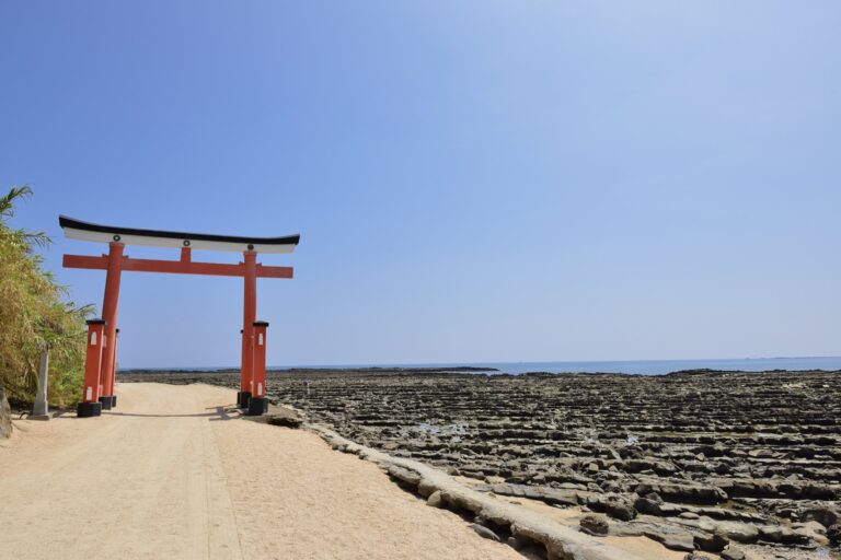 青島の海沿いの鳥居と鬼の洗濯板。宮崎県観光協会の提供写真。