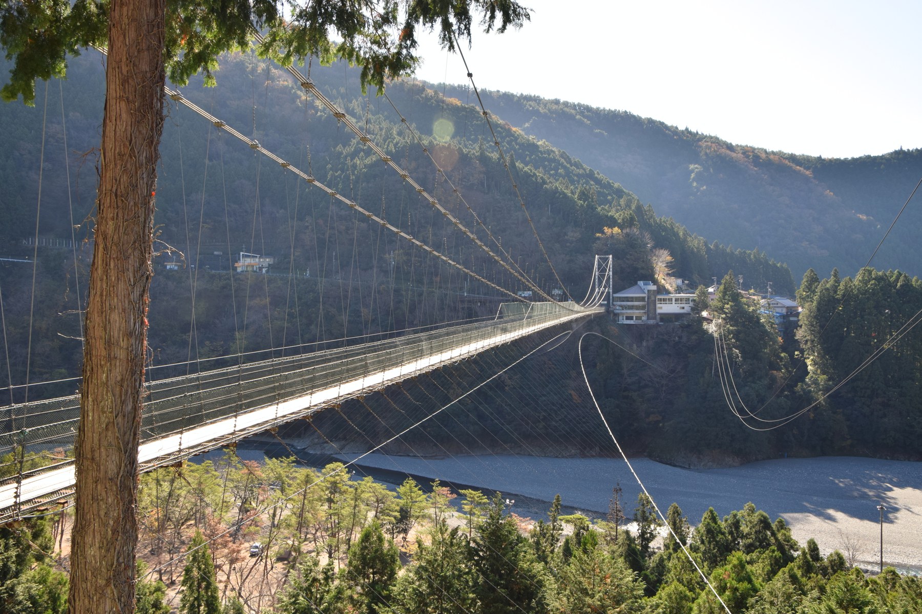 実写:山々と川の間に架かる谷瀬の吊り橋